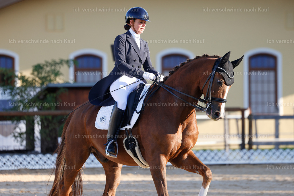 09_1-195-DRESSUR  S_  -StoibPH-5499 | working equitationturnier fotograf videograf stoibphotography marixx film working equitation deutschland reitsport turnierfotografie eventfotografie equestrian events