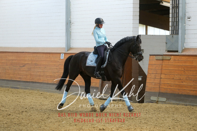 IMG_3246 | Turniersportfotografie; Pferdefotografie; Dressurfotografie