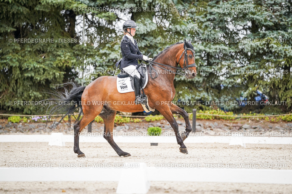 DSC08269 | Pferdegrafie