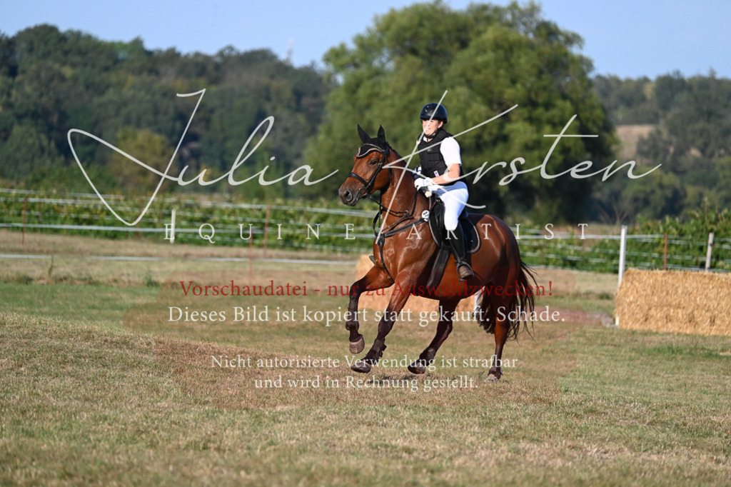 DSC_9225 | Pferde- und Turnierfotografie in Westsachsen. Pferdeportraits, Auftragszeichnungen und intuitive Kunst.