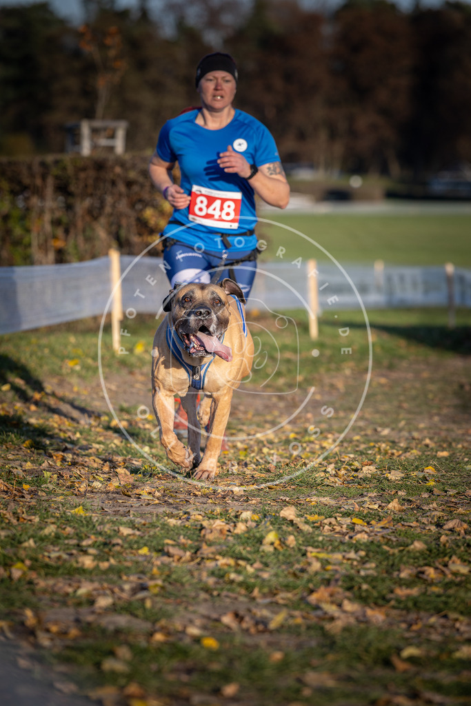 CaniXpix_DV3A3845 | Hundefotografie, Tierfotograf, Pfotenfotografie, Fotoshooting Hund, Hunde Portrait, Hundesport, Hundeportraits, Heideshooting, Hunde, Sportfotograf, Hundefotograf, Turnierhundsport, THS,  - Realisiert mit Pictrs.com