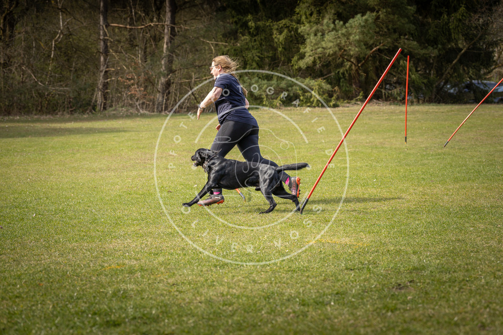Pfotenfotografie_DV3A9869 | Hundefotografie, Tierfotograf, Pfotenfotografie, Fotoshooting Hund, Hunde Portrait, Hundesport, Hundeportraits, Heideshooting, Hunde, Sportfotograf, Hundefotograf, Turnierhundsport, THS,  - Realisiert mit Pictrs.com