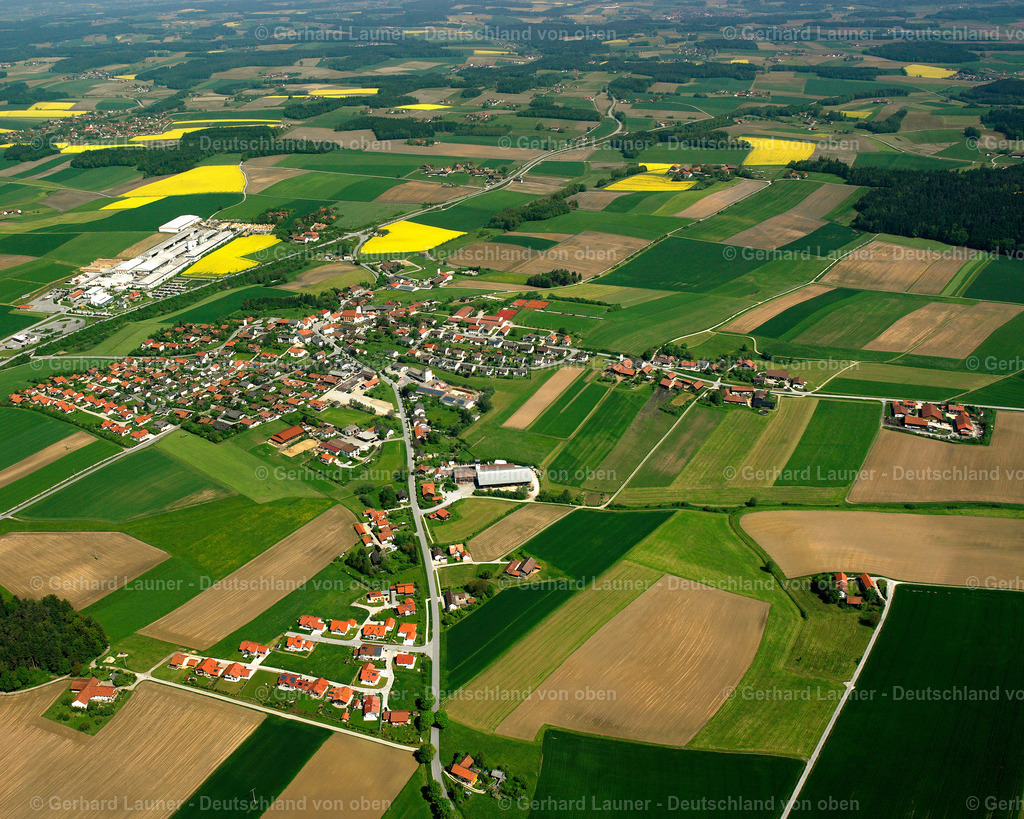 2517003 | Ruderfing, Falkenberg
