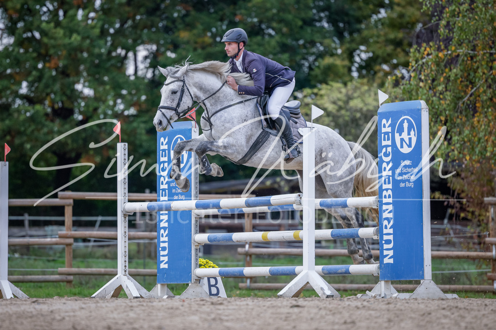 20251012-_3LI5195 | Tierfotografie Pferde, Hunde, Katzen, Haustiere.
Turnierfotografie Reitturniere, Reiten, Springreiten, Dressur in Hanau, dem Main-Kinzig-Kreis und dem Rhein-Main- Gebiet um Frankfurt