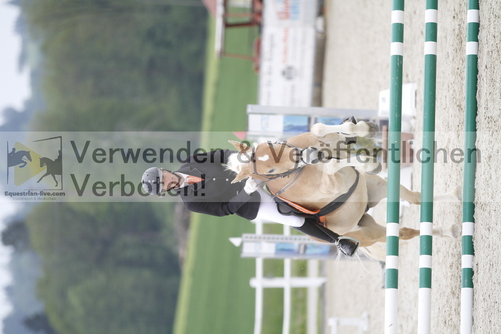_MG_3693 | equestrian-live-com
