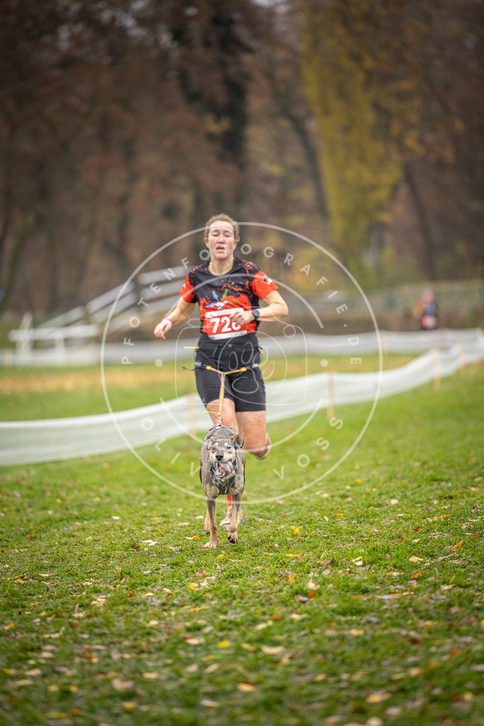 CaniXpix_DV3A9270 | Hundefotografie, Tierfotograf, Pfotenfotografie, Fotoshooting Hund, Hunde Portrait, Hundesport, Hundeportraits, Heideshooting, Hunde, Sportfotograf, Hundefotograf, Turnierhundsport, THS,  - Realisiert mit Pictrs.com