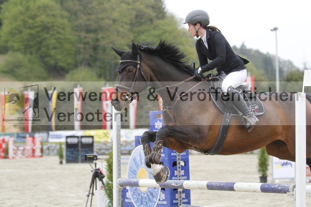 _MG_1538 | equestrian-live-com
