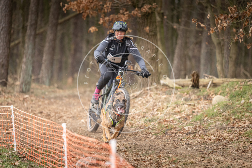 Pfotenfotografie_DV3A1787 | Hundefotografie, Tierfotograf, Pfotenfotografie, Fotoshooting Hund, Hunde Portrait, Hundesport, Hundeportraits, Heideshooting, Hunde, Sportfotograf, Hundefotograf, Turnierhundsport, THS,  - Realisiert mit Pictrs.com