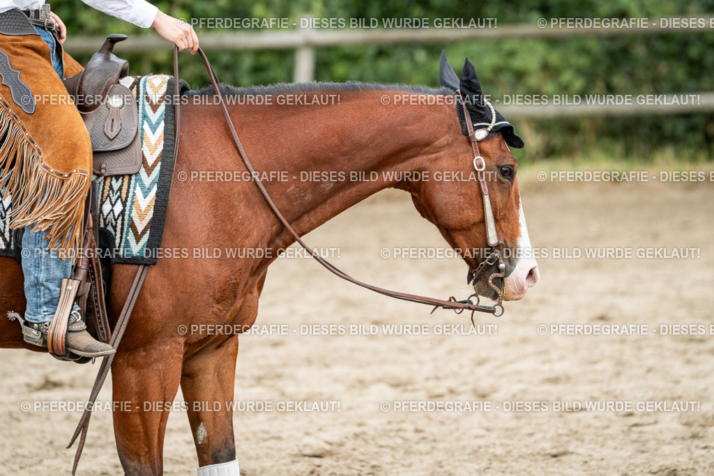 DSC02132 | Pferdegrafie