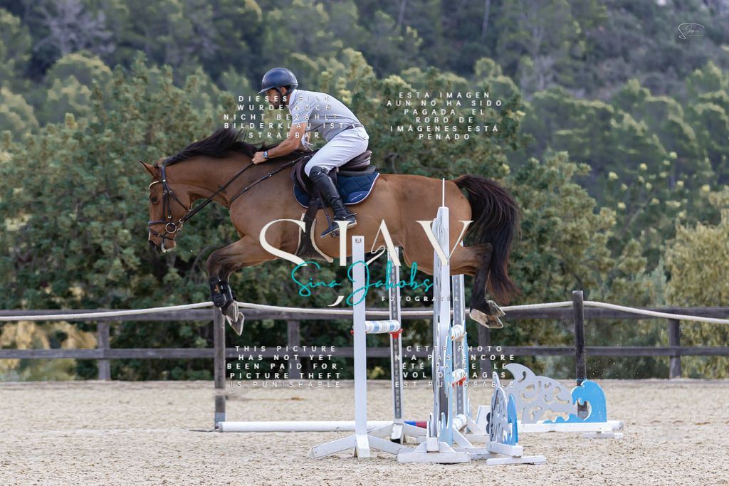 IMG_6122 | s-jay-photography - Realisiert mit Pictrs.com