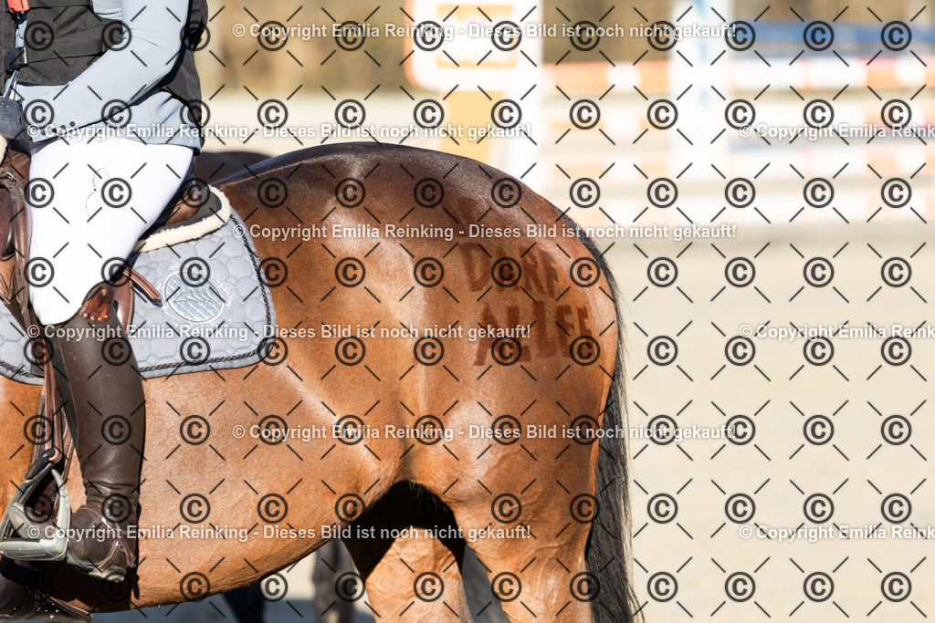 CL5A3443 | Emilia Reinking Fotografie - Realisiert mit Pictrs.com