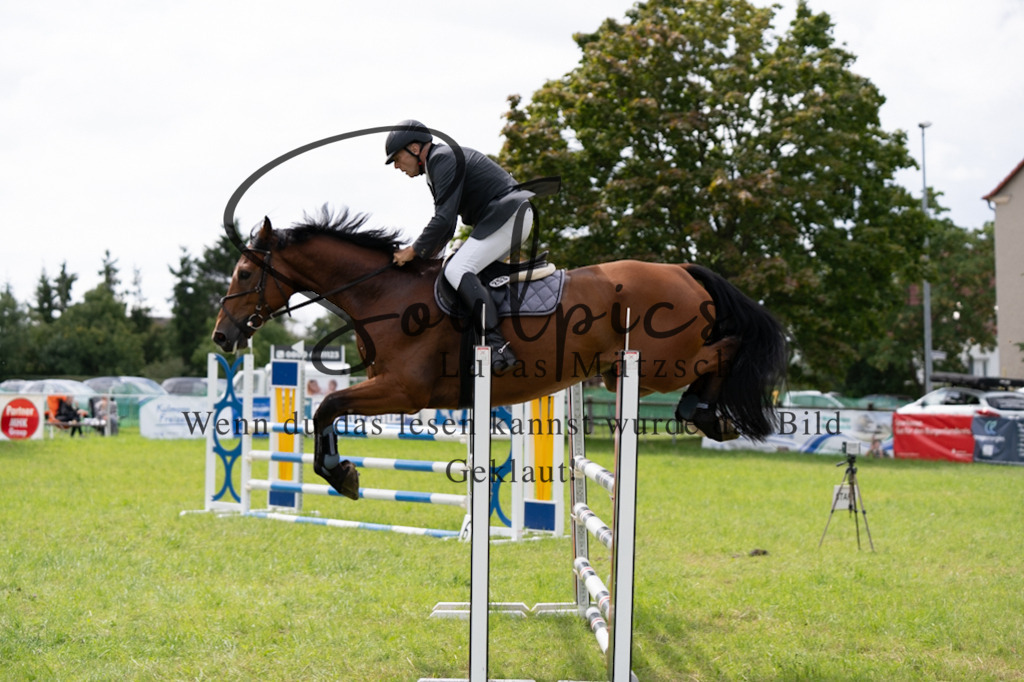 A7V04149 | Turnier/Reitfotograf