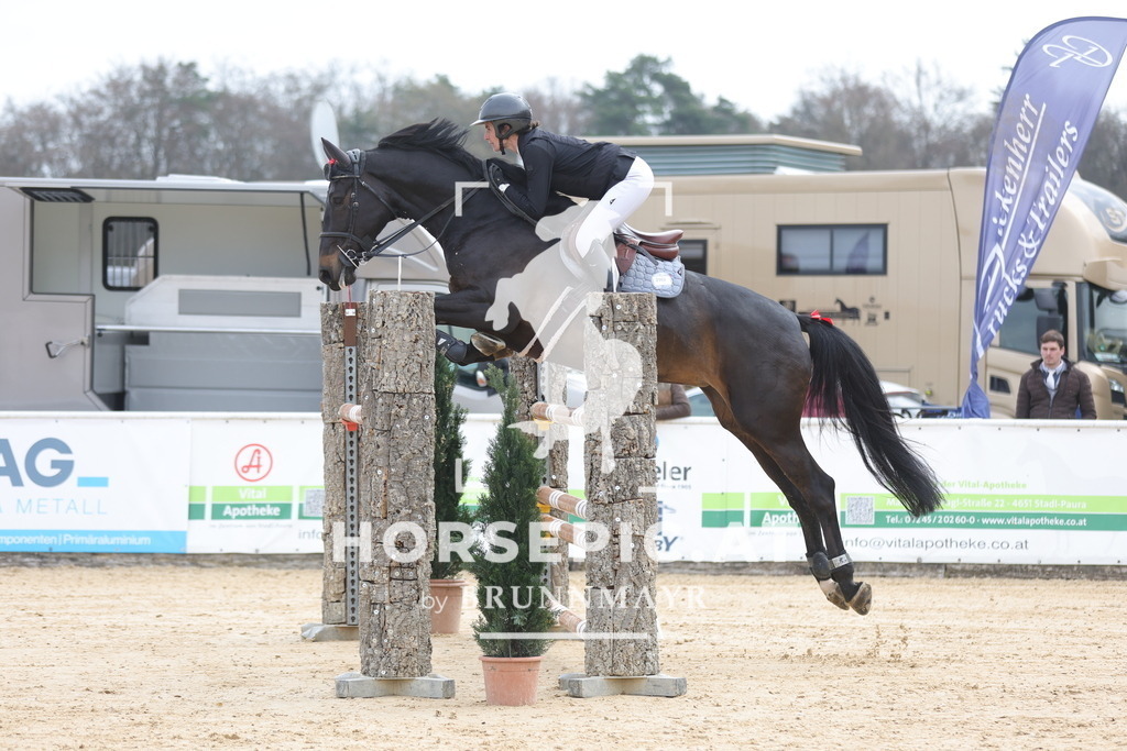 0P6A5334 | Willkommen bei Brunnmayr - Design & Fotografie – Ihrem Spezialisten für Reitturniere und Pferdeveranstaltungen in Oberösterreich, Salzburg und Bayern! Seit über 17 Jahren sind wir leidenschaftlich dabei.