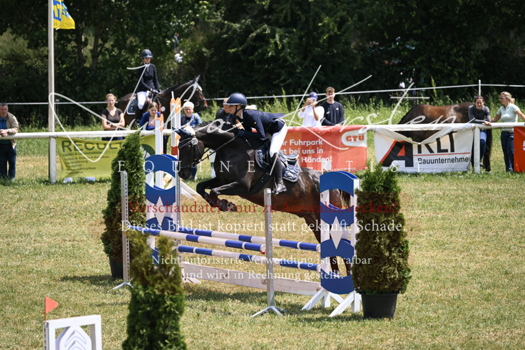 DSC_9452 | Pferde- und Turnierfotografie in Westsachsen. Pferdeportraits, Auftragszeichnungen und intuitive Kunst.