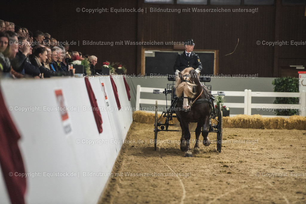 20240302_Hengstvorstellung_Marbach_TOMsPiC_0618 | equistock