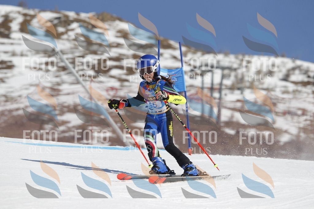 _U3G9710 | holidayphoto