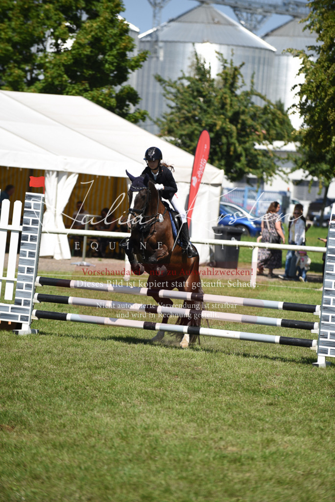 DSC_9581 | Pferde- und Turnierfotografie in Westsachsen. Pferdeportraits, Auftragszeichnungen und intuitive Kunst.