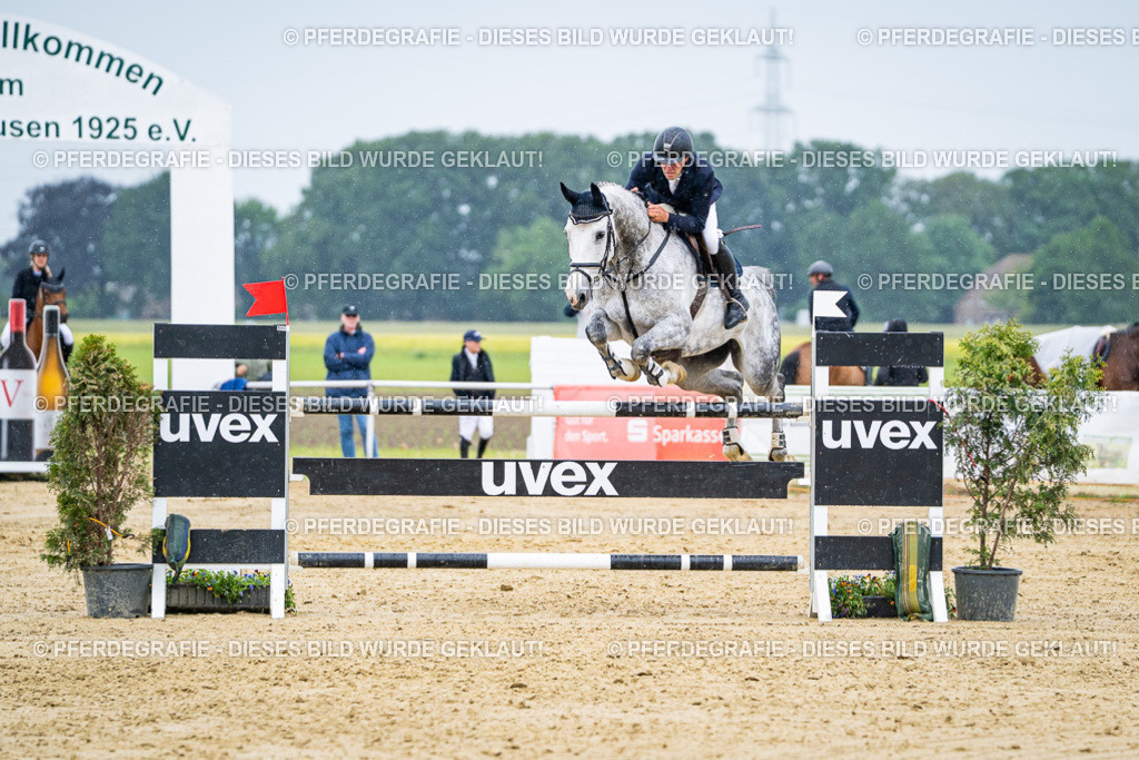 DSC08559 | Pferdegrafie