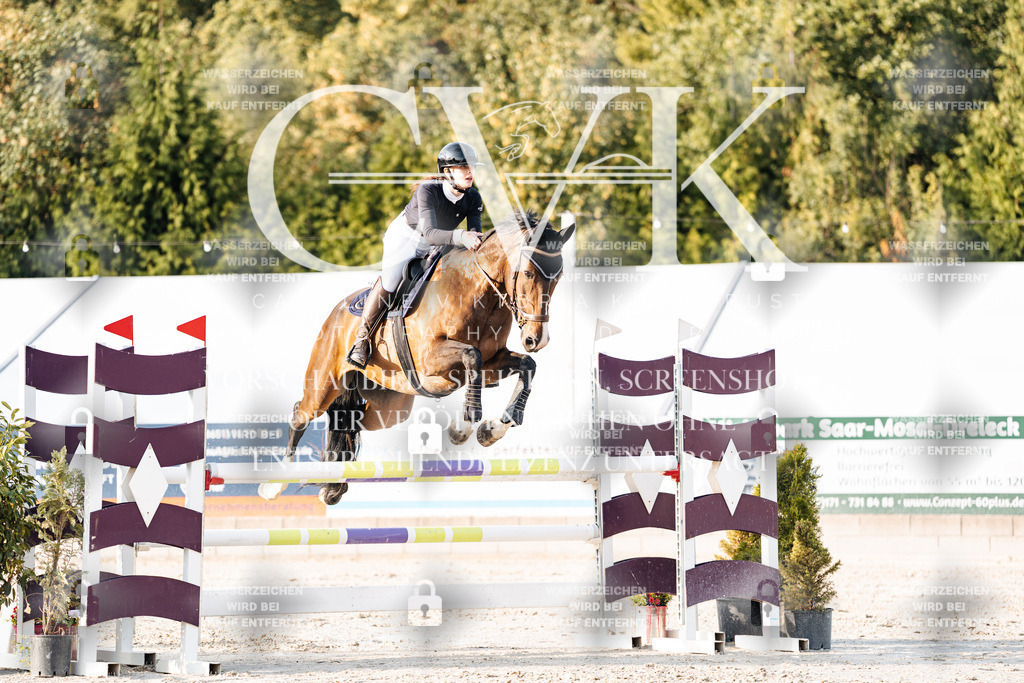 CK903537 | Turnierfotografie Pferdefotografie Trier Rheinland-Pfalz Pferdesport Reitsport Tierfotografie Sportfotografie Pferdevideo Pferdevideografie Equestrianvideography equestrianphotography  - Realisiert mit Pictrs.com