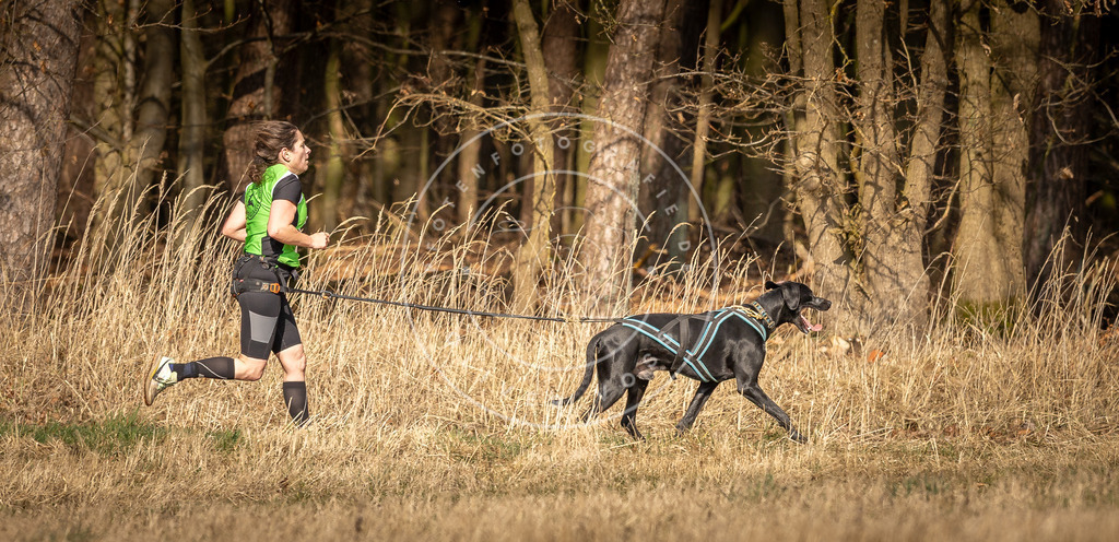 DV3A5422 | Hundefotografie, Tierfotograf, Pfotenfotografie, Fotoshooting Hund, Hunde Portrait, Hundesport, Hundeportraits, Heideshooting, Hunde, Sportfotograf, Hundefotograf, Turnierhundsport, THS,  - Realisiert mit Pictrs.com
