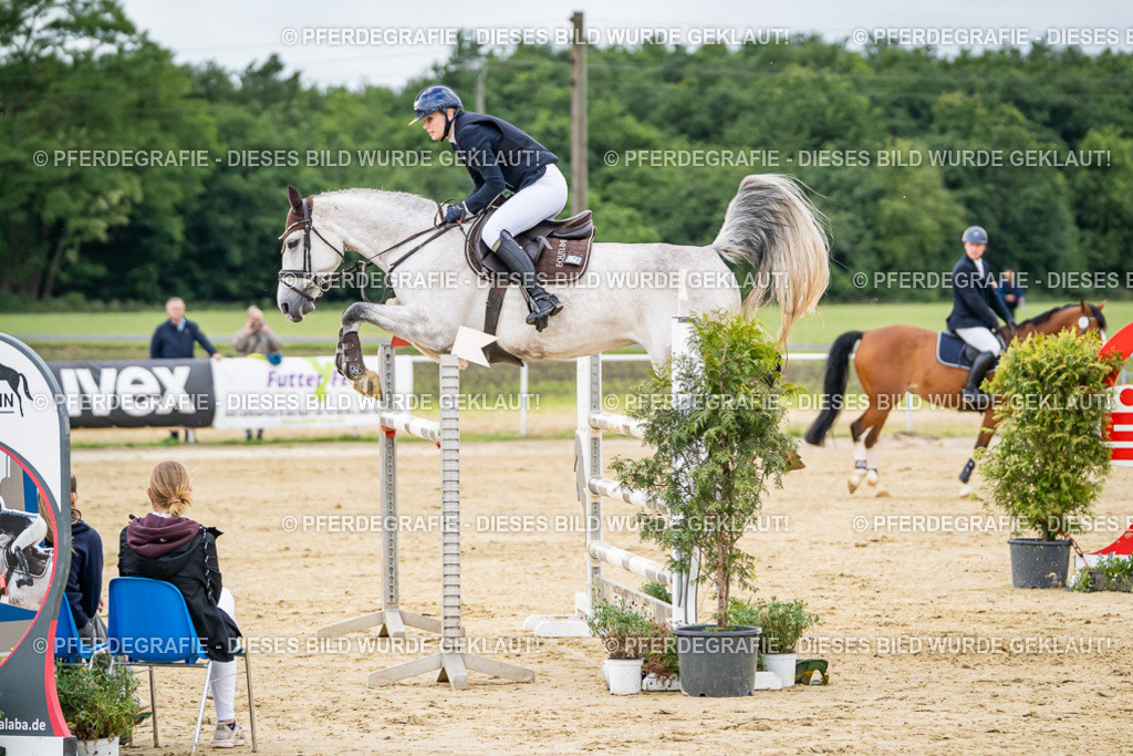 DSC06504 | Pferdegrafie