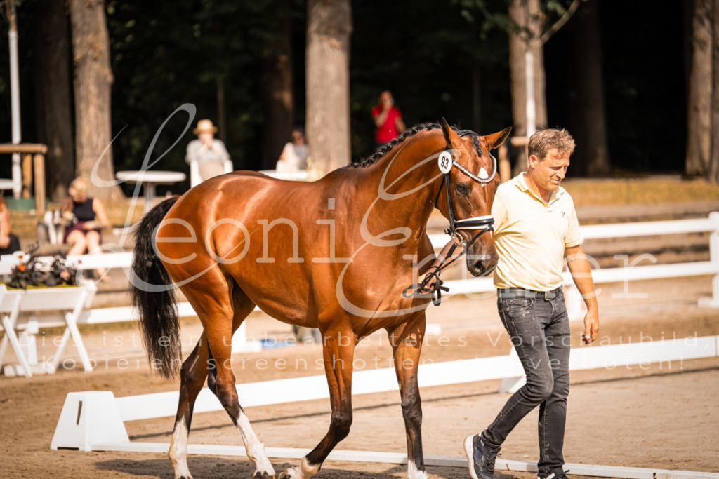 FrER00100 | Leoni Ertmer Photography - Realisiert mit Pictrs.com