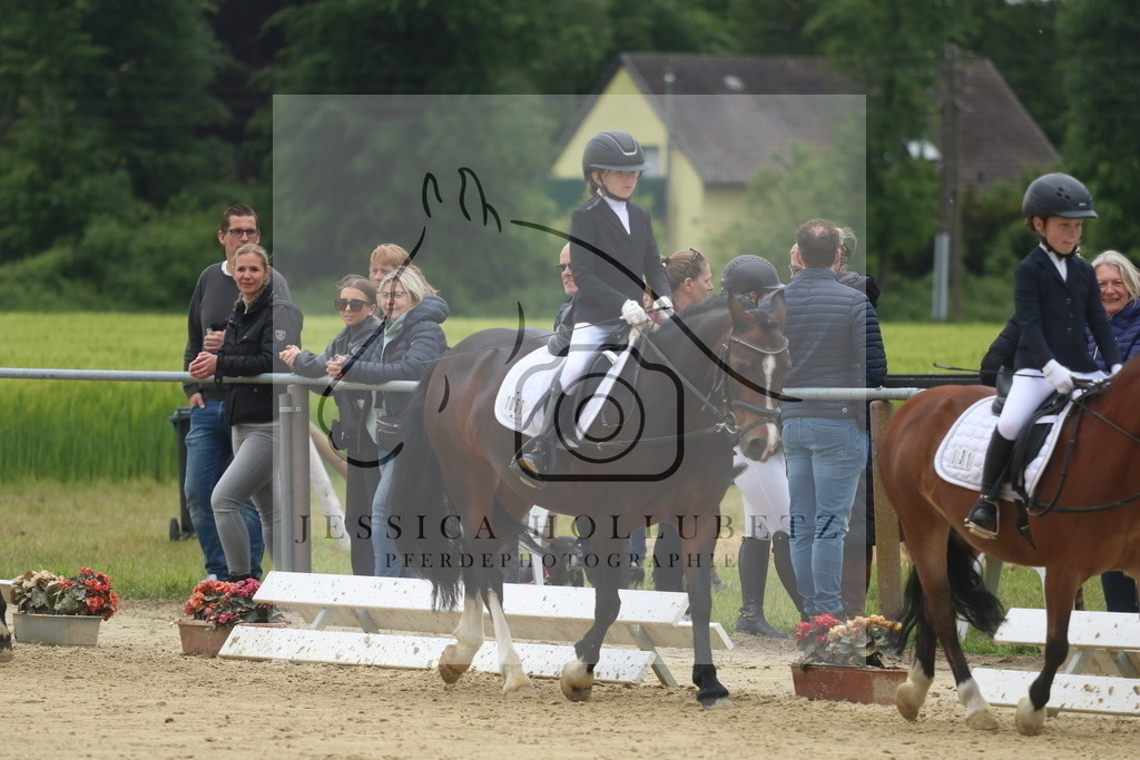 IMG_5535 | jessicahollubetz_pferdephotographie - Realisiert mit Pictrs.com