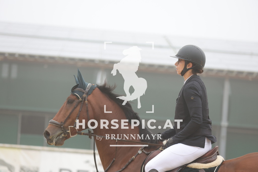 0P6A0308 | Willkommen bei Brunnmayr - Design & Fotografie – Ihrem Spezialisten für Reitturniere und Pferdeveranstaltungen in Oberösterreich, Salzburg und Bayern! Seit über 17 Jahren sind wir leidenschaftlich dabei.