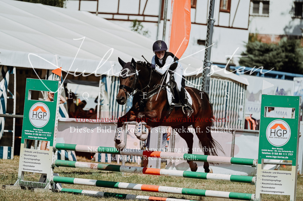 DSC_9794 | Pferde- und Turnierfotografie in Westsachsen. Pferdeportraits, Auftragszeichnungen und intuitive Kunst.