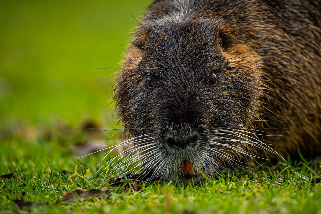 8352A036-DD8E-4CED-86D2-9BD2746DB4FF | <meta name="keywords" content="Bergbilder, Hochzeitsfotografie, Actionshootings, Fotografiearbeiten, Berglandschaften, Naturfotografie">

 - Realisiert mit Pictrs.com