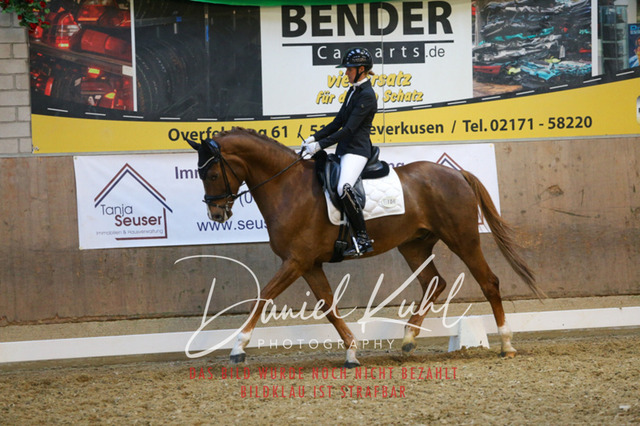 IMG_2938 | Turnierfotos kaufen im Webshop von Daniel Kuhl Photography – entdecke professionelle Reitsportfotos aus Turnieren & Events. Hochwertige Turnierbilder online bestellen & sichern. Jetzt Fotos von Reitsportturnieren kaufen!