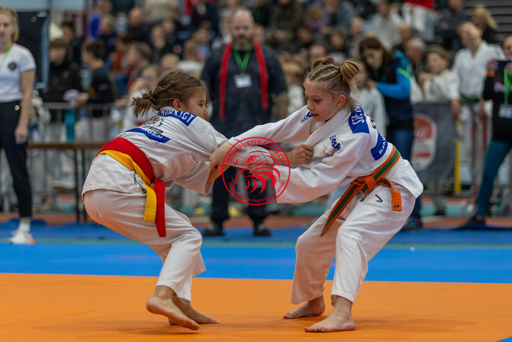 Internationaler Adler Cup 2024 | Foto vom Internationalen Adler Cup Judo Turnier im Sport- und Freizeitzentrum Kalbach im Oktober 2024 - Realisiert mit Pictrs.com