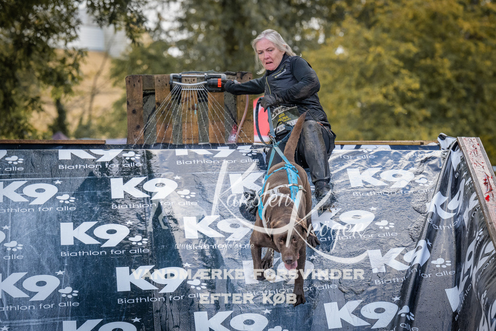 1518_ZZ94380 | kk-dogfotos