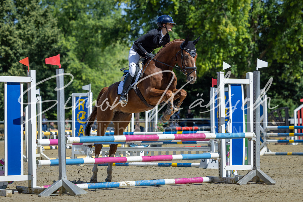 20260704-_3LI7521 | Tierfotografie Pferde, Hunde, Katzen, Haustiere.
Turnierfotografie Reitturniere, Reiten, Springreiten, Dressur in Hanau, dem Main-Kinzig-Kreis und dem Rhein-Main- Gebiet um Frankfurt