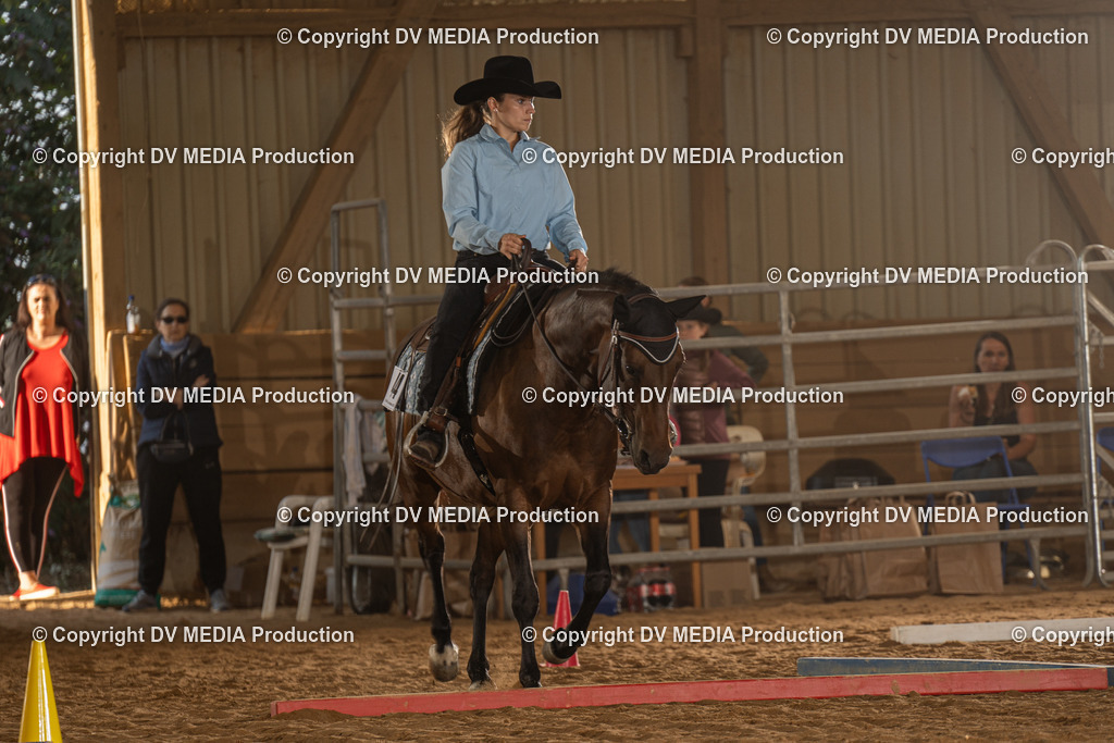 NID02526 | dv-media-shop - Realisiert mit Pictrs.com