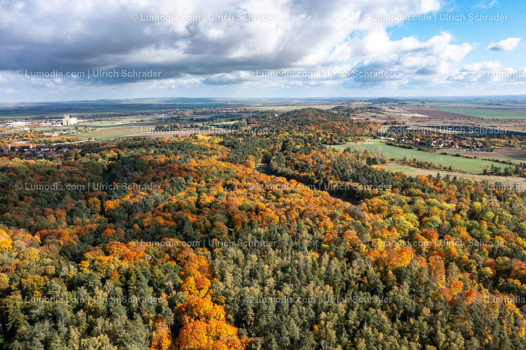 10049-52152 - Herbststimmung in den Spiegelsbergen | Stockfoto und Bilderpool mit Bildmaterial aus Deutschland, dem Harz, Halberstadt, Quedlinburg, Wernigerode und weltweit. Qualitativ hochwertige und professionelle Fotos anschauen und kaufen. - Realisiert mit Pictrs.com