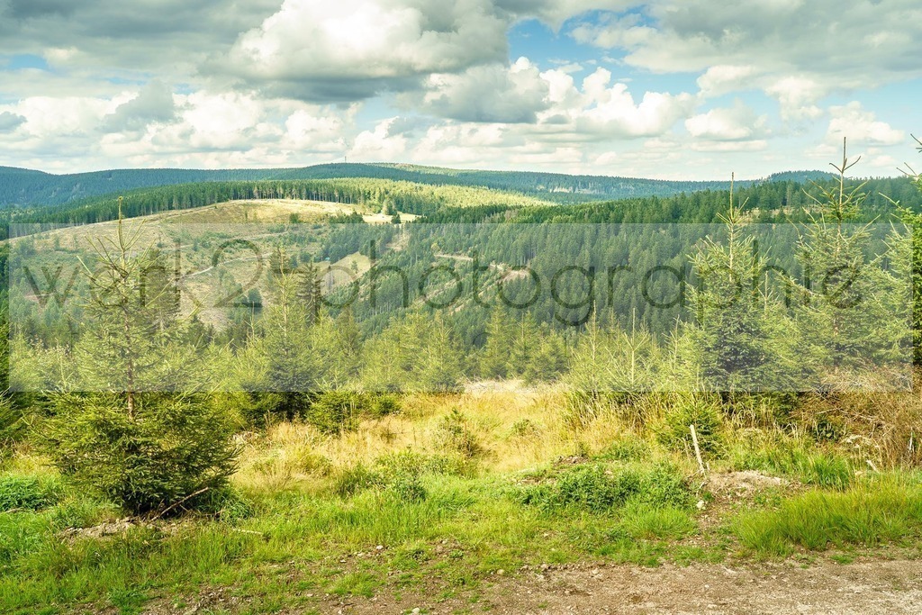 RennsteigRIDE 2025 | Schmiedefeld am 7. September 2025