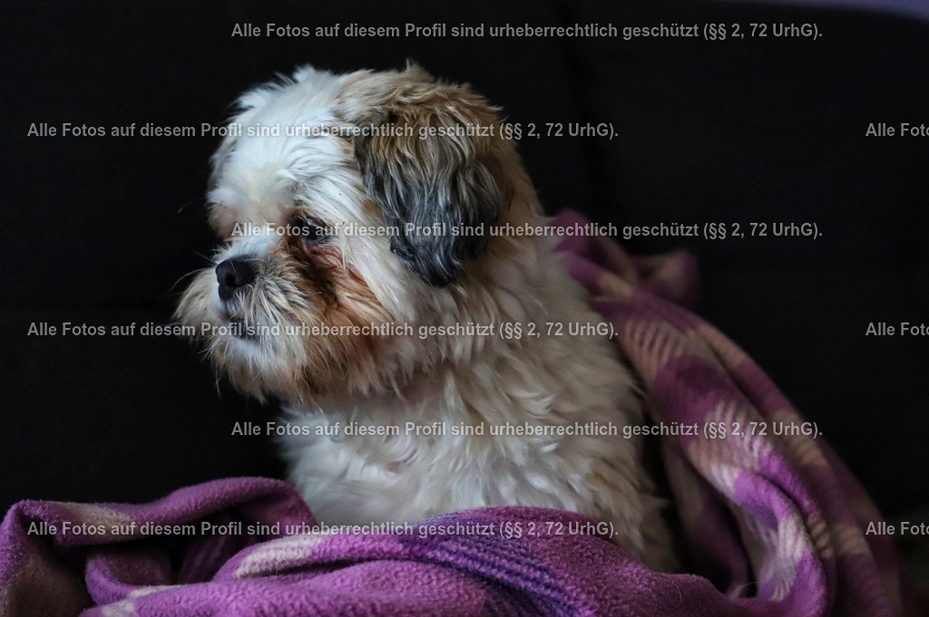 IMG_9076-01 | krollfotografie - Realisiert mit Pictrs.com