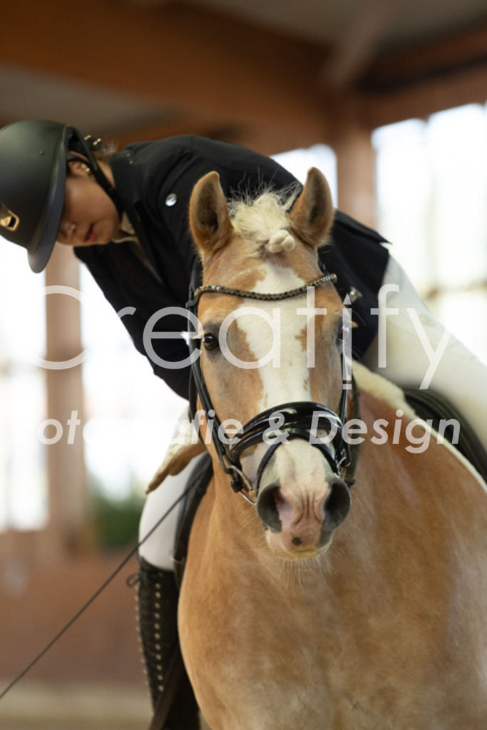 IMG_8823 | Creatify Fotografie