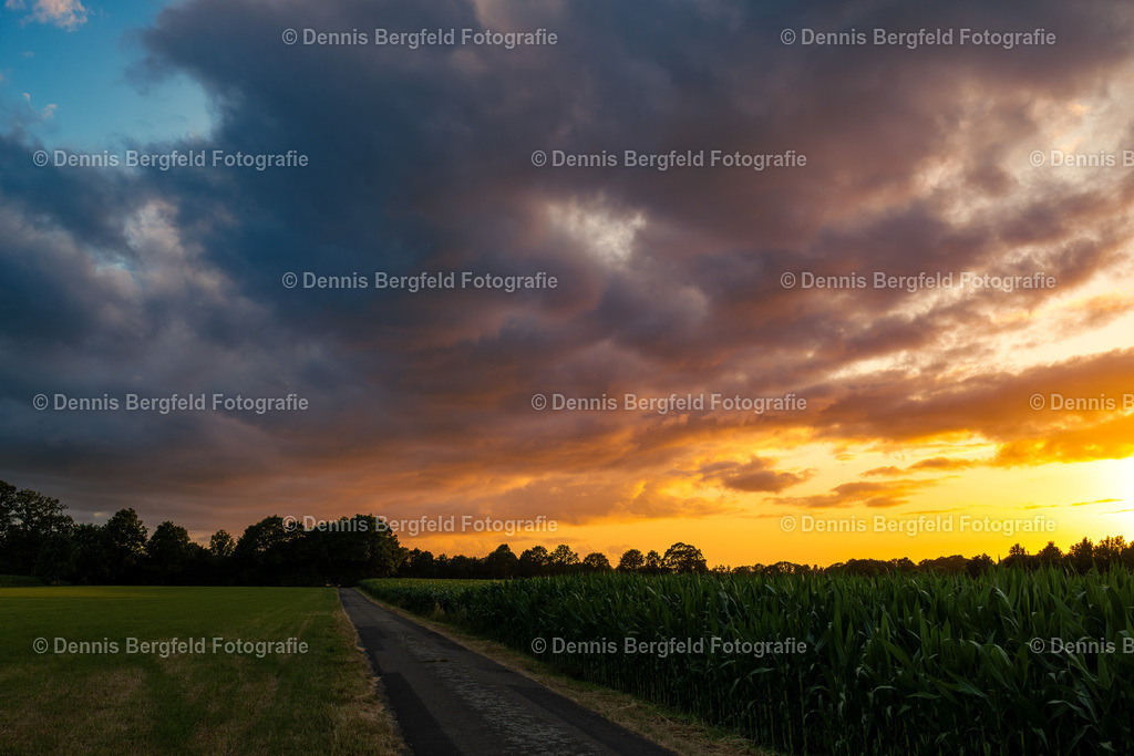 Brennender Himmel über Hopsten | Entdecken Sie Natur, Makro und Tierfotografie von Dennis Bergfeld.Besondere Momente und Details der Natur, hochwertig als Foto und Wandbild erhältlich. - Realisiert mit Pictrs.com