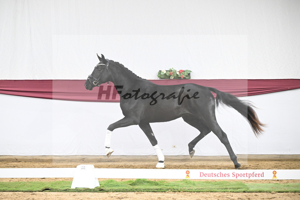 Kat-Nr. 37 St. Emilion x Quantensprung_Uwe Kraft_47251299 | hf-fotografie - Realisiert mit Pictrs.com