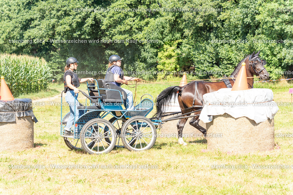 2026-08-08_14-42-02_WBO_Pulsnitz | sternberg.click - Realisiert mit Pictrs.com