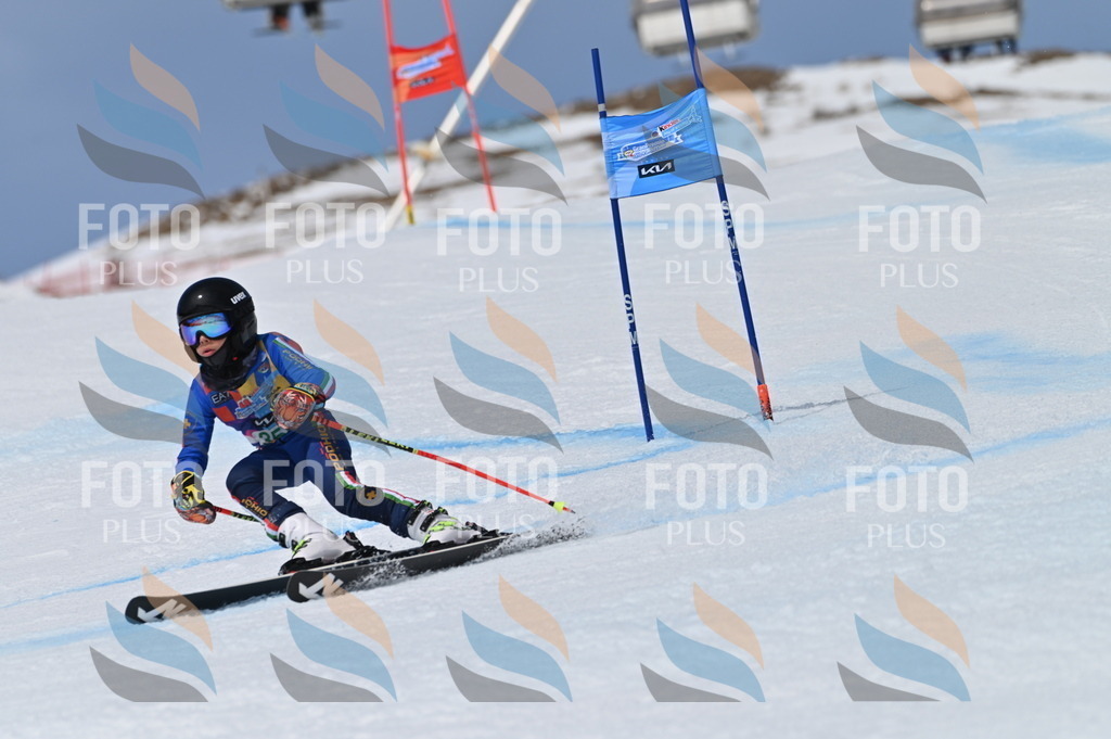 BGV_6987 | holidayphoto