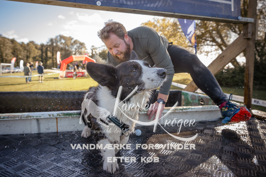 1212_ZZ95008 | kk-dogfotos