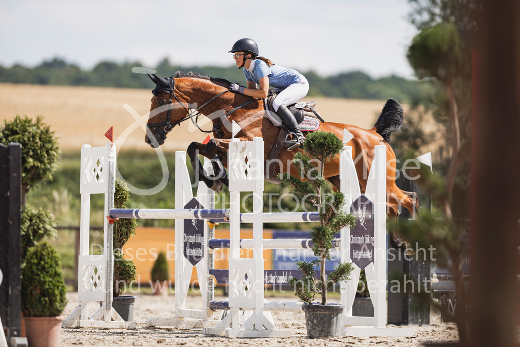 250629_PfSpTa_2Ph-M1-796 | Deine schönsten Turniermomente als professionelle Fotos! Entdecke hochwertige Pferdesport-Fotografie im Online-Shop. Jetzt Fotos finden & bestellen!