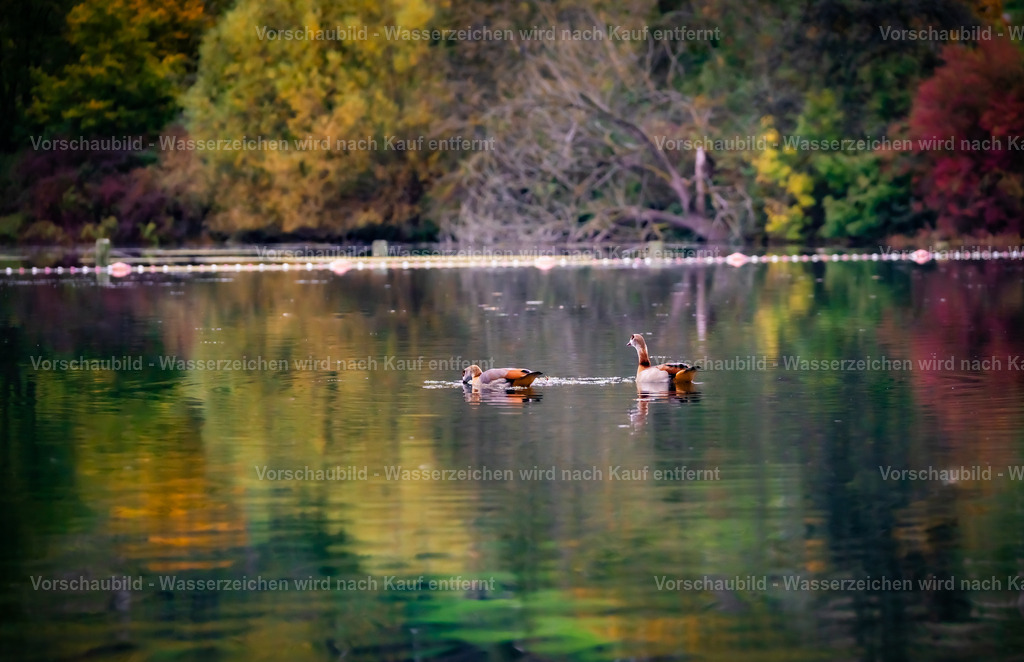 DSC05528-2 | marcuslinek