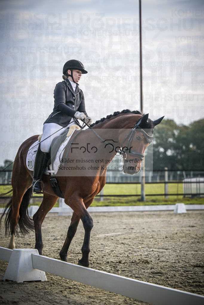DOS_B005 | Entdecke hochwertige Reitturnierfotos von Foto Oger. Professionell, emotional und authentisch – jetzt Lieblingsmomente im Shop bestellen.Deutschlandweite Turnierfotografie. - Realisiert mit Pictrs.com