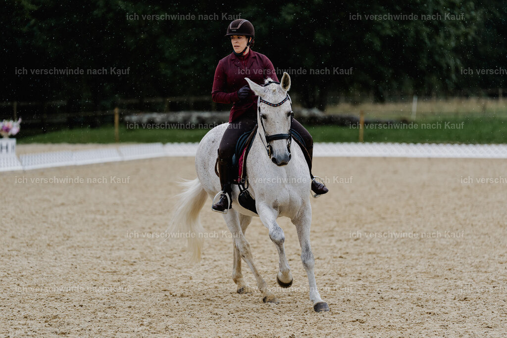 Kelly4_FHC2025-8578 | working equitationturnier fotograf videograf stoibphotography marixx film working equitation deutschland reitsport turnierfotografie eventfotografie equestrian events