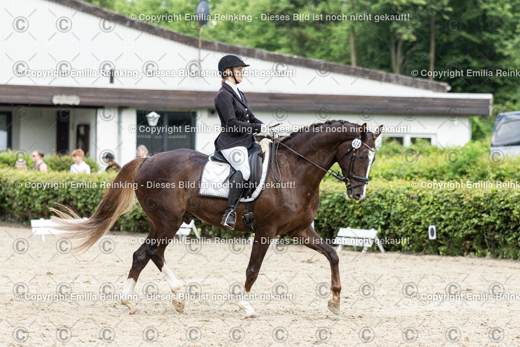 CL5A6497-2 | Emilia Reinking Fotografie - Realisiert mit Pictrs.com