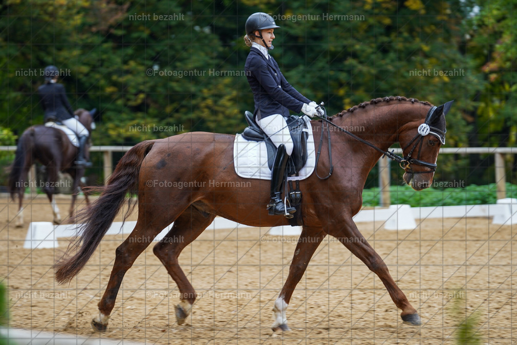 20221008-FAH01766 | Diessen am Ammersee, 2022, Dressur- und Springturnier, Reitsportbilder, Turnierfotografen Bayern, Pferdefotografen, Fotoagentur Herrmann, Turnierbilder